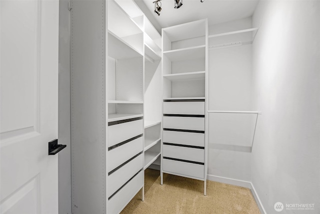 walk in closet with light carpet