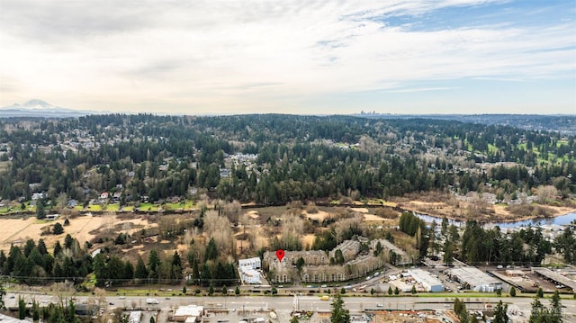 aerial view with a view of trees