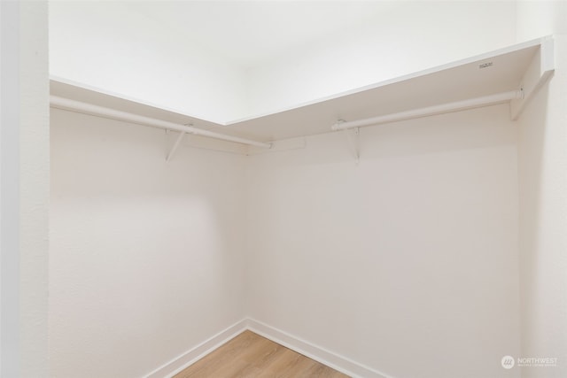 walk in closet with hardwood / wood-style floors