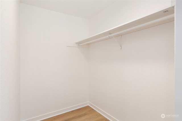 walk in closet featuring hardwood / wood-style floors