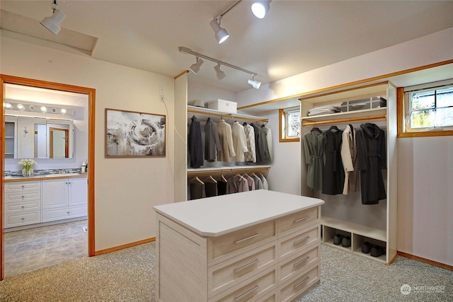 spacious closet featuring light colored carpet