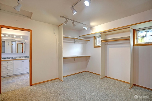 spacious closet featuring light carpet