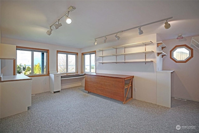 interior space with white cabinetry and light colored carpet