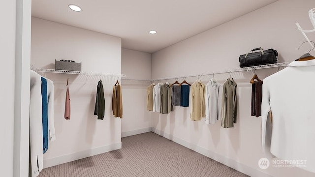 walk in closet with carpet