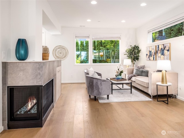 living room featuring light hardwood / wood-style floors