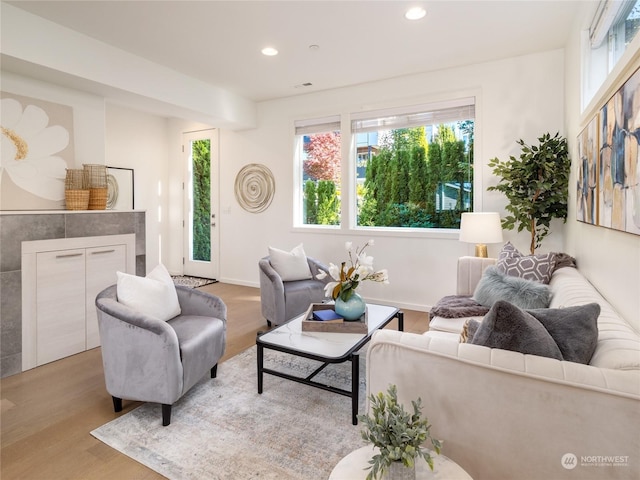 living room with light hardwood / wood-style flooring