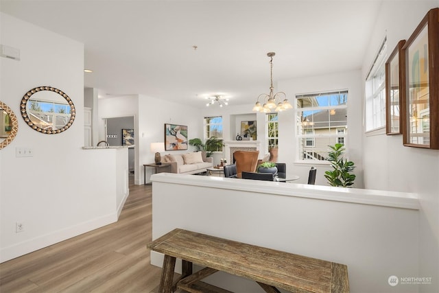 dining room with a chandelier and light hardwood / wood-style flooring