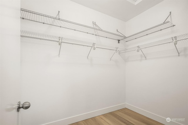 spacious closet featuring wood-type flooring