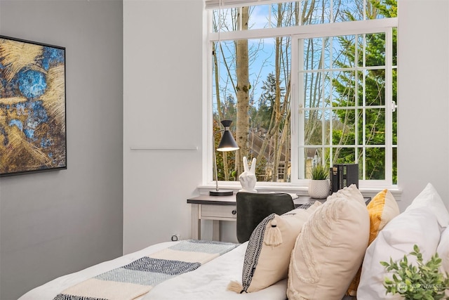 bedroom featuring multiple windows