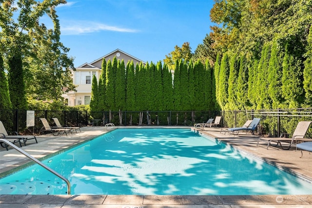 view of swimming pool featuring a patio area