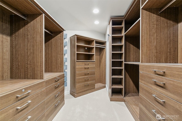 spacious closet with light colored carpet