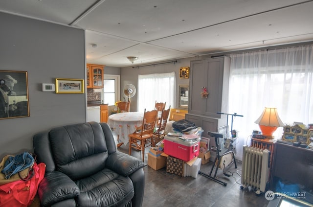 living room with radiator