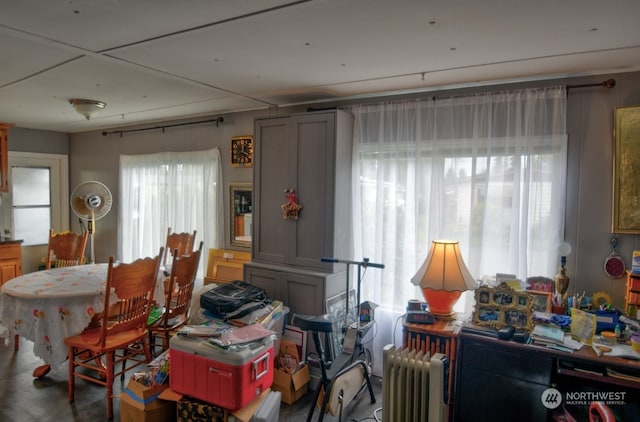 dining area featuring radiator