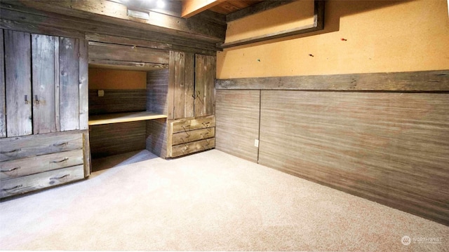 interior space with light carpet and wood walls