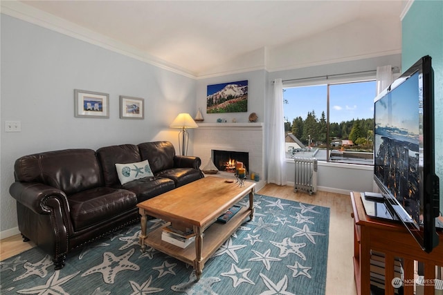 living room featuring radiator, ornamental molding, and hardwood / wood-style flooring