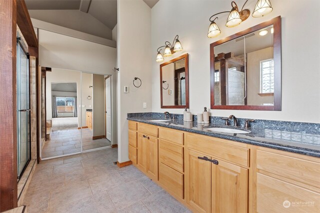 bathroom featuring vaulted ceiling, a healthy amount of sunlight, a shower with shower door, and vanity