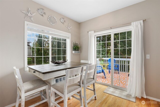 dining area featuring light hardwood / wood-style flooring and a healthy amount of sunlight