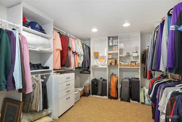 view of walk in closet