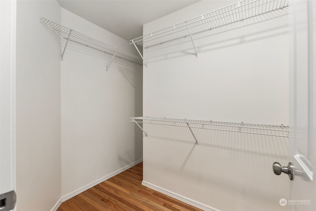 spacious closet with hardwood / wood-style flooring