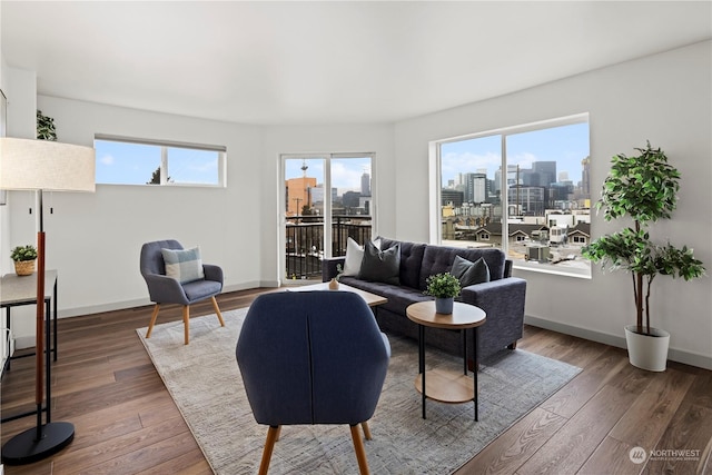 living room featuring dark hardwood / wood-style floors