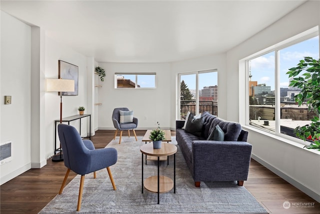 living room featuring dark wood-type flooring