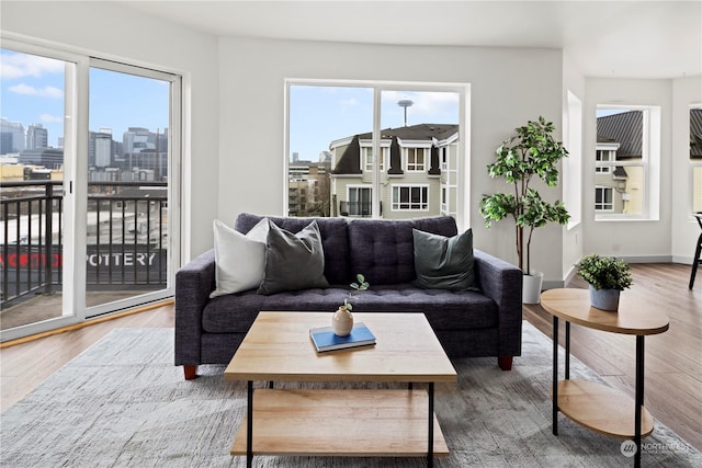 living room featuring plenty of natural light and wood-type flooring