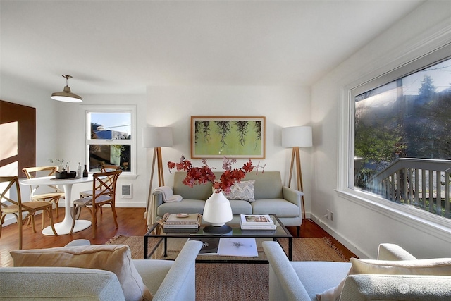 living room with dark hardwood / wood-style flooring and a wealth of natural light