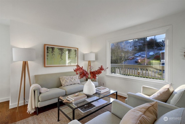 living room featuring hardwood / wood-style floors