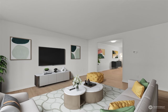 living room featuring light hardwood / wood-style flooring