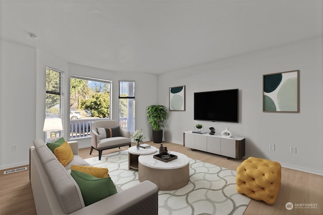 living room featuring light hardwood / wood-style flooring