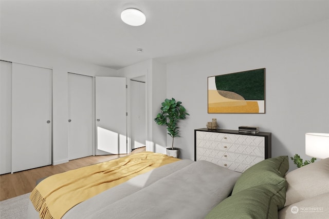 bedroom featuring multiple closets and wood-type flooring