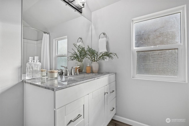 bathroom featuring hardwood / wood-style flooring and vanity