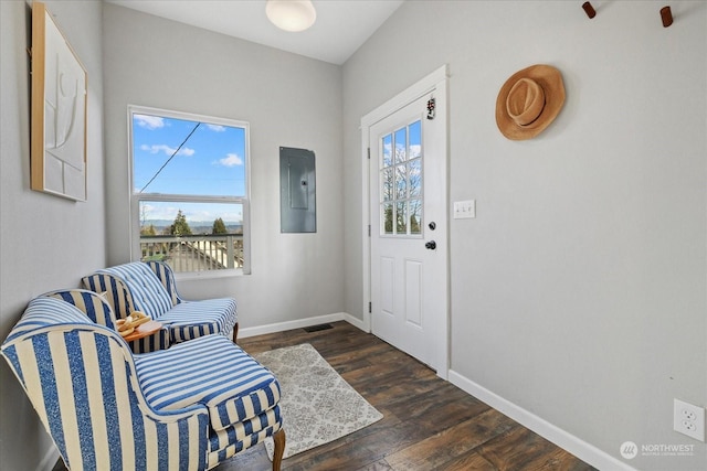 foyer featuring dark hardwood / wood-style floors, electric panel, and plenty of natural light