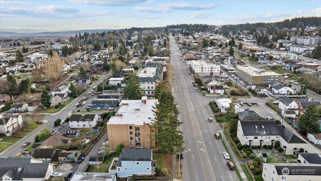 bird's eye view