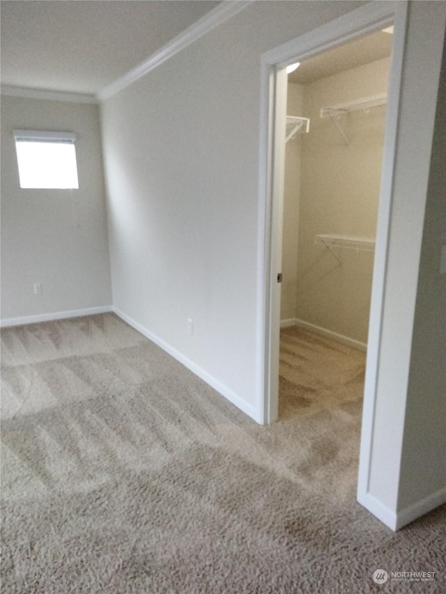 unfurnished bedroom featuring a spacious closet, a closet, ornamental molding, and light colored carpet