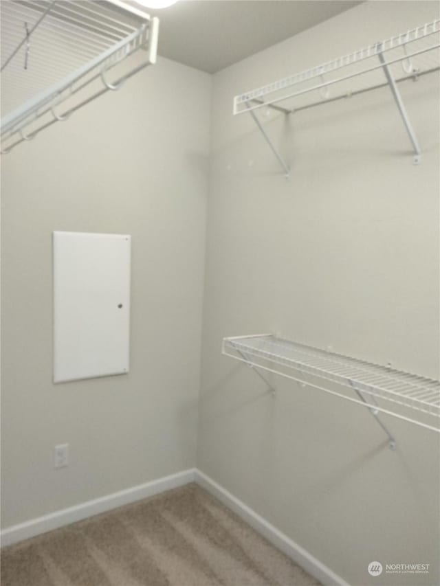 spacious closet with carpet