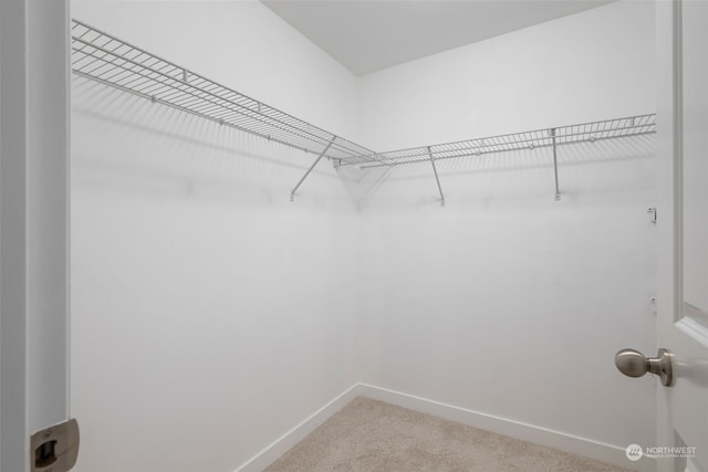 walk in closet featuring light carpet