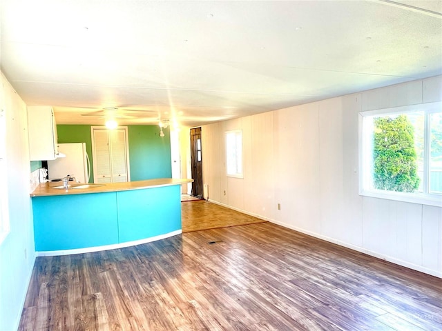 interior space with ceiling fan, sink, a wealth of natural light, and dark hardwood / wood-style floors