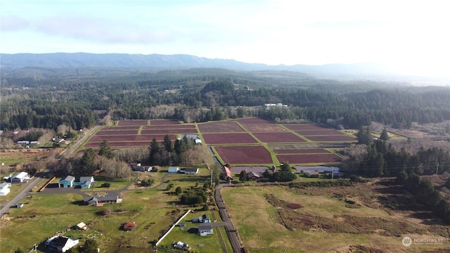 drone / aerial view featuring a mountain view