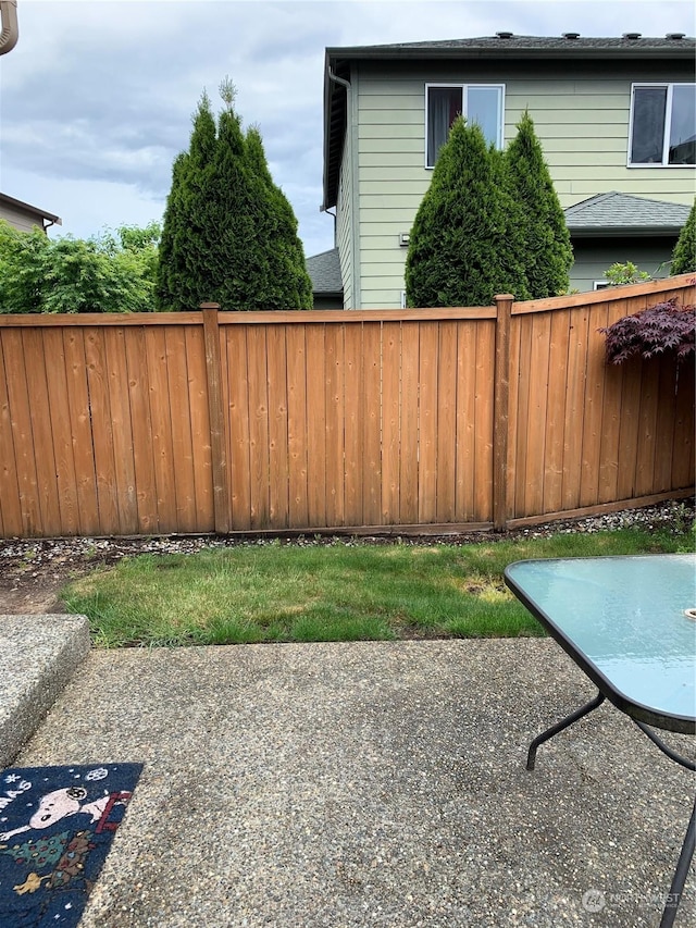 view of yard with a patio area