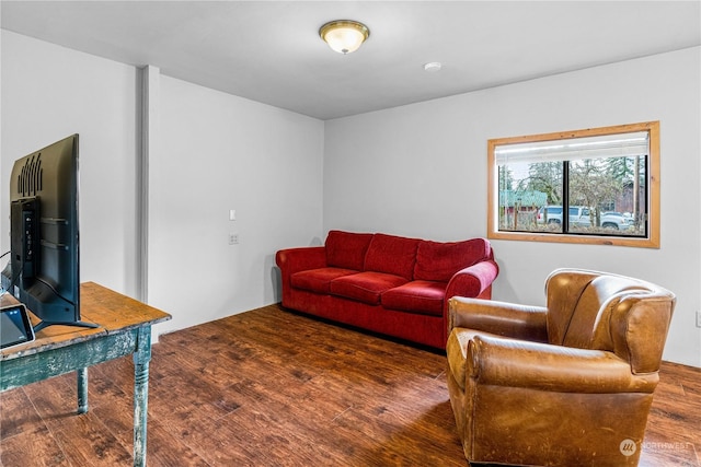 living room with hardwood / wood-style flooring