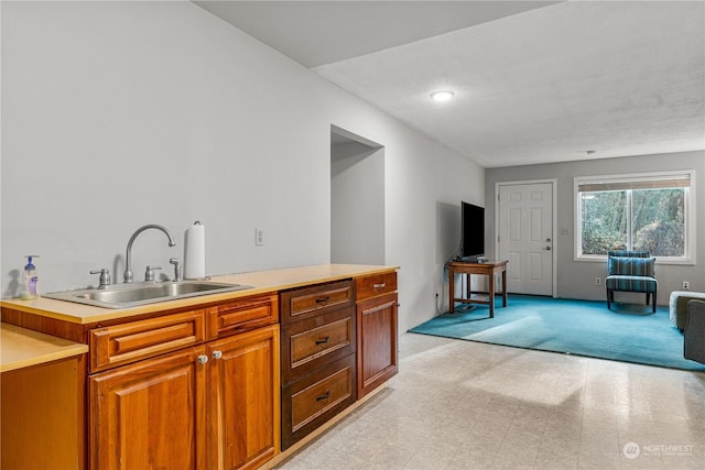 kitchen featuring sink