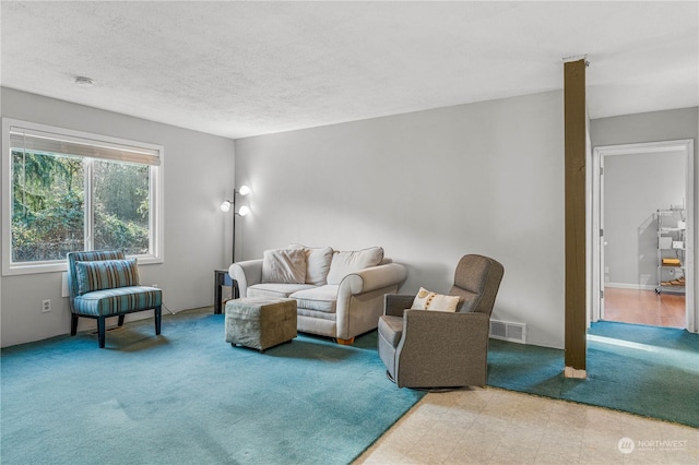 living room featuring a textured ceiling