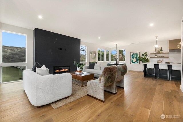 living room featuring a fireplace and light wood-type flooring