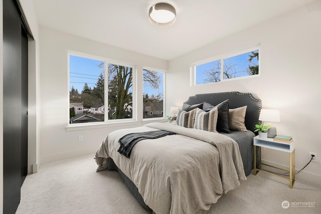 bedroom with carpet flooring