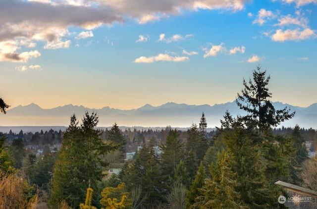 property view of mountains