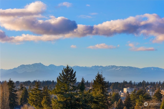 property view of mountains