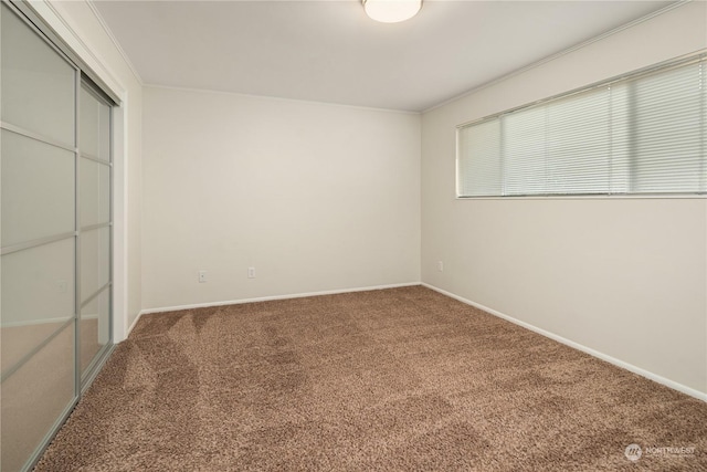 carpeted empty room featuring ornamental molding