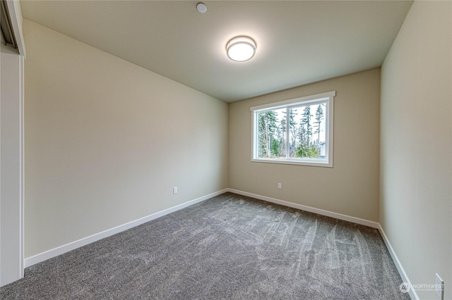 empty room featuring carpet floors