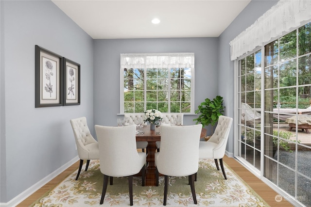 dining room with hardwood / wood-style flooring